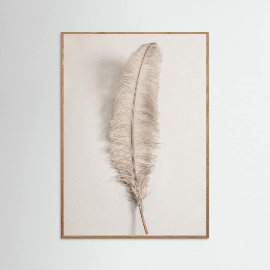 Feather_002 Poster – plakat og kunsttryk