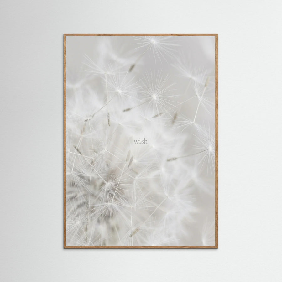 Feathered Dreams