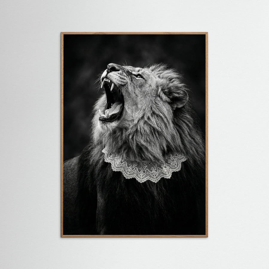 Feline Roar
