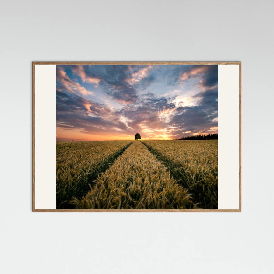 Field of dreams Poster