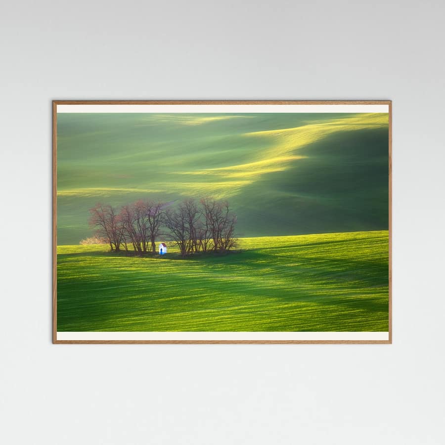 Fields... Poster