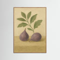 Oak Nature Fig study