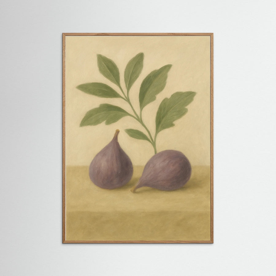Fig study