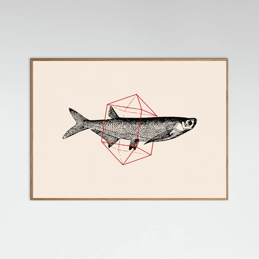 Fish In Geometrics Nº2 Poster
