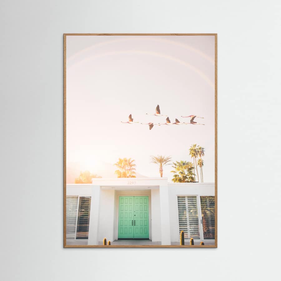 Poster Flamingos In Palm Springs