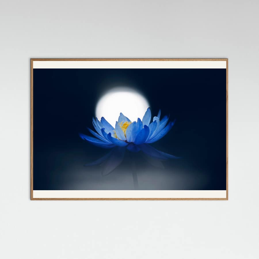 Plakat Fleeting dream – plakat i druk artystyczny
