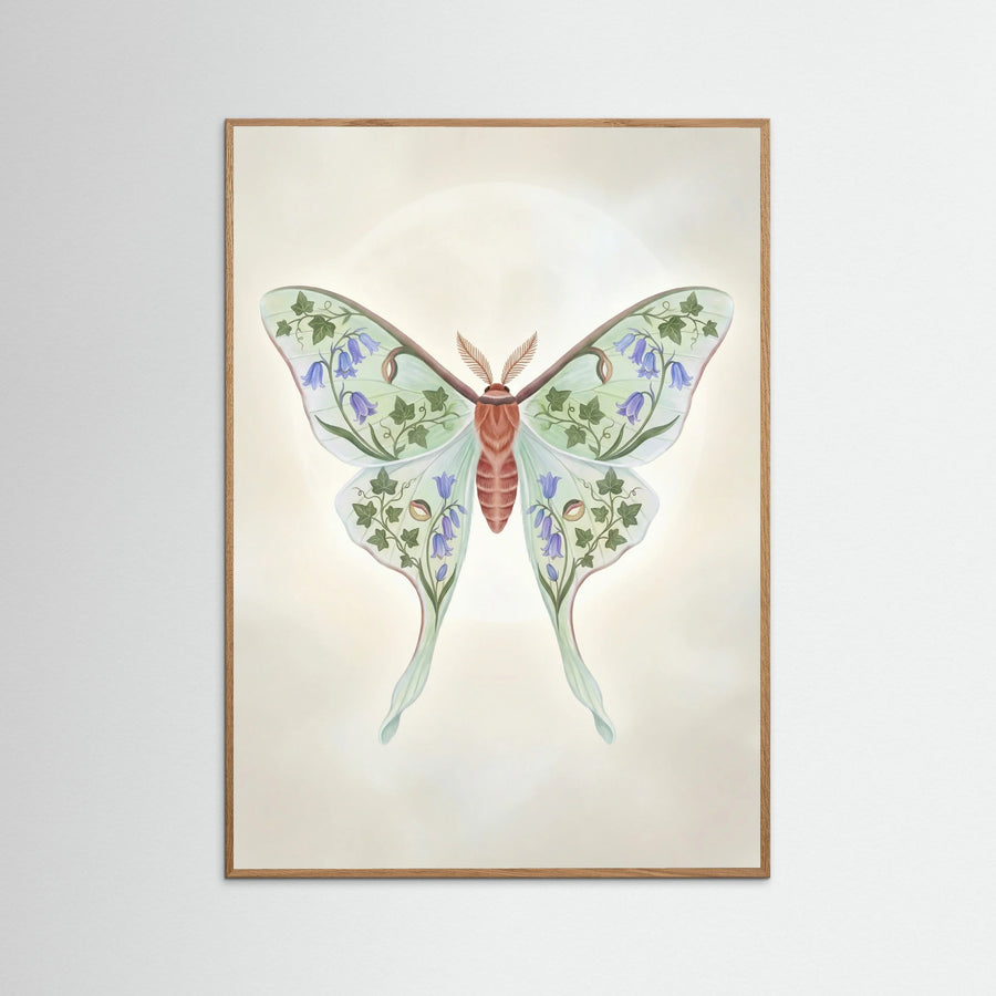 Floral Moth Study