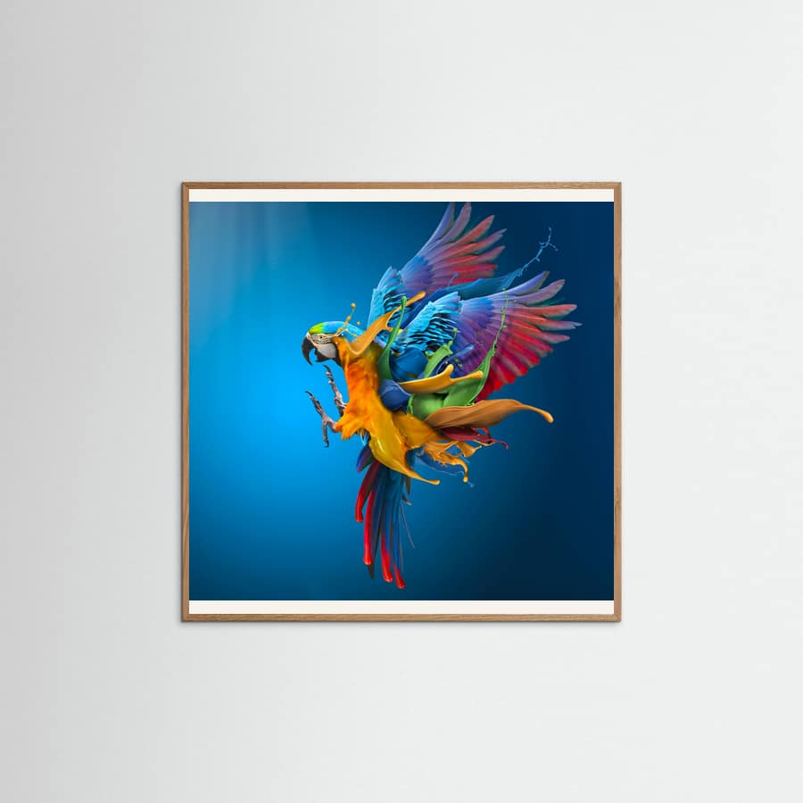Póster Flying Colours