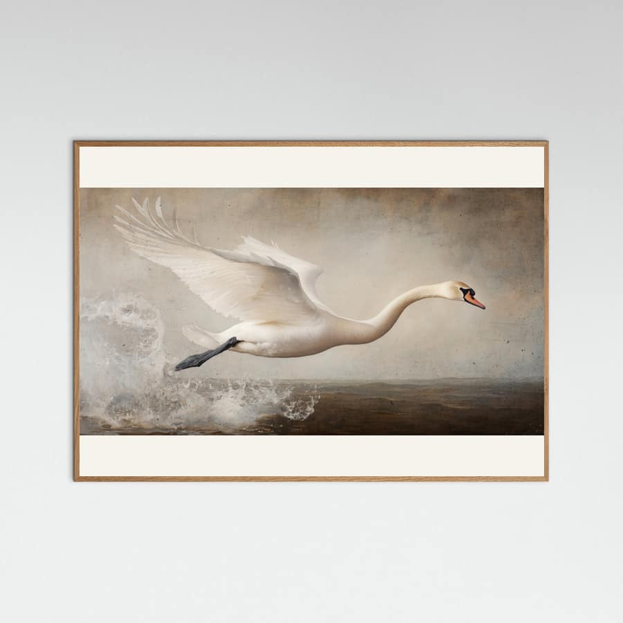 Affiche Flying Swan