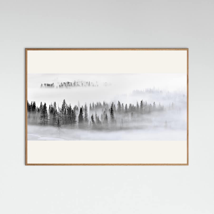 Foggy Forest Poster