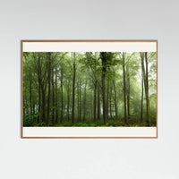 Oak Nature Forest... Poster