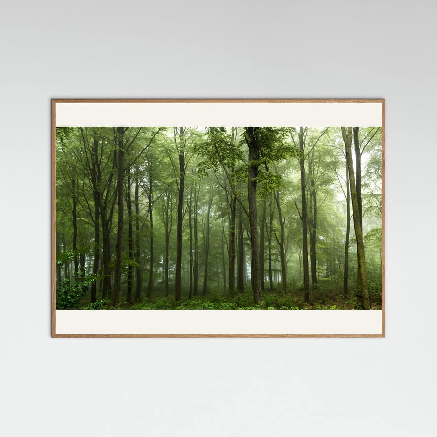 Forest... Poster – poster and art print