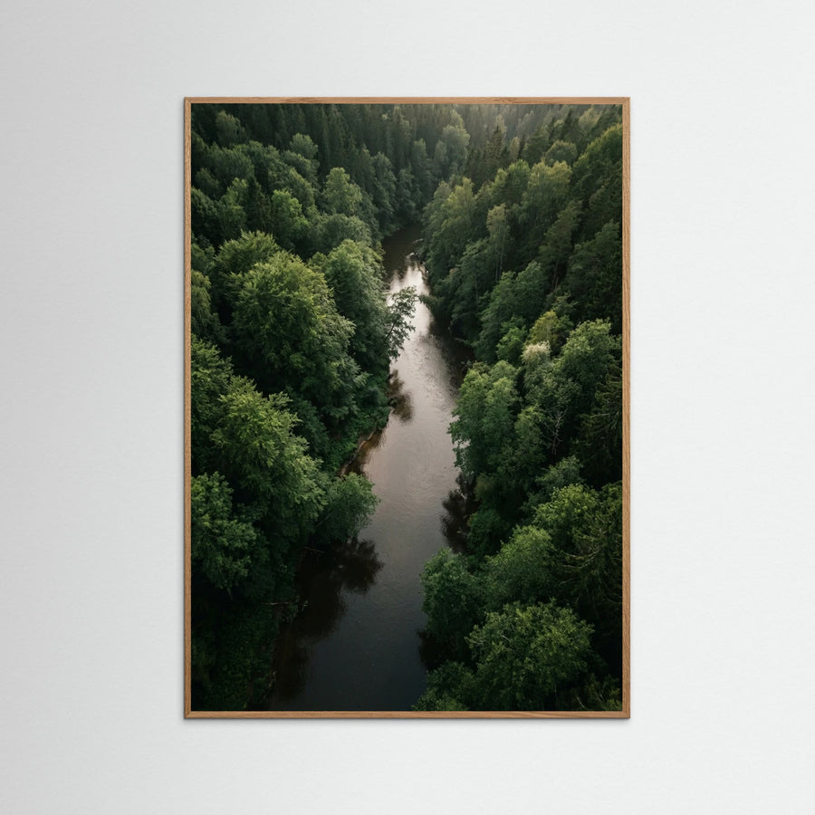 Forest Traverse