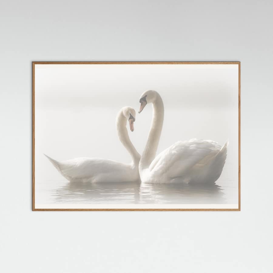 Forever Poster – plakat og kunsttryk