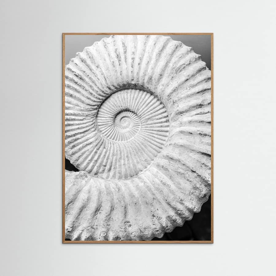 Plakat Formula