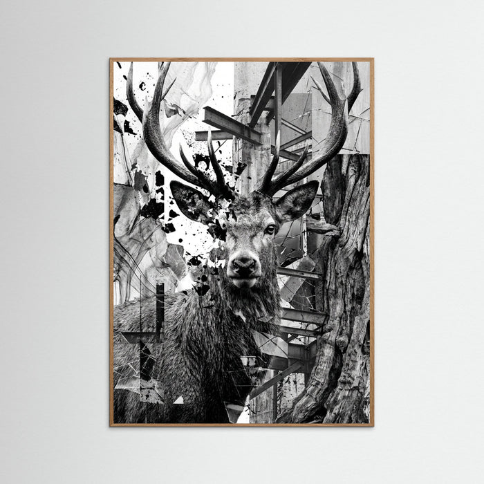 Oak Nature Fractured Gaze