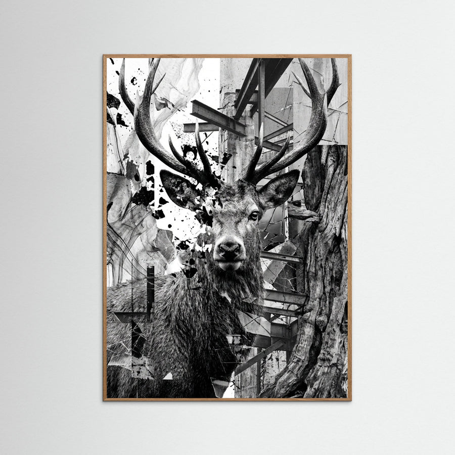 Fractured Gaze