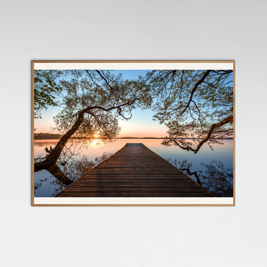 Framed Poster