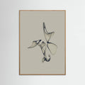 Poster Free Torus - 1 – poster e stampa artistica