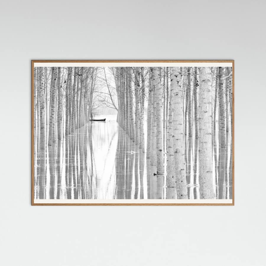 Free movement Poster – poster and art print