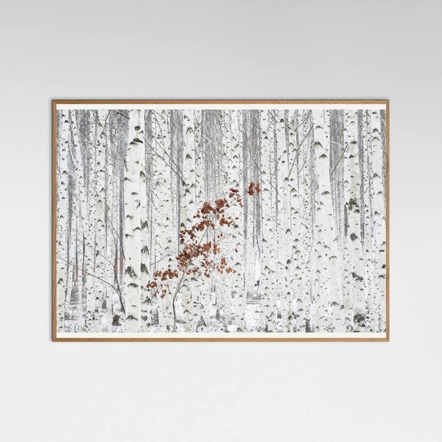 From White Poster – plakat og kunsttryk
