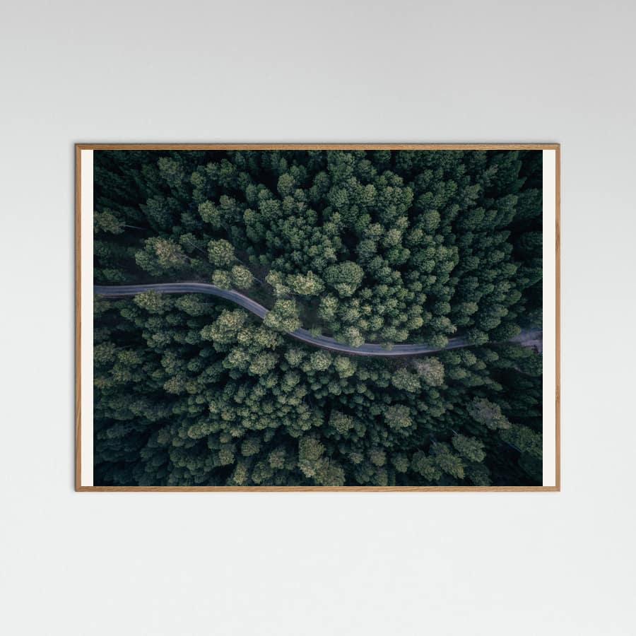 From above Poster