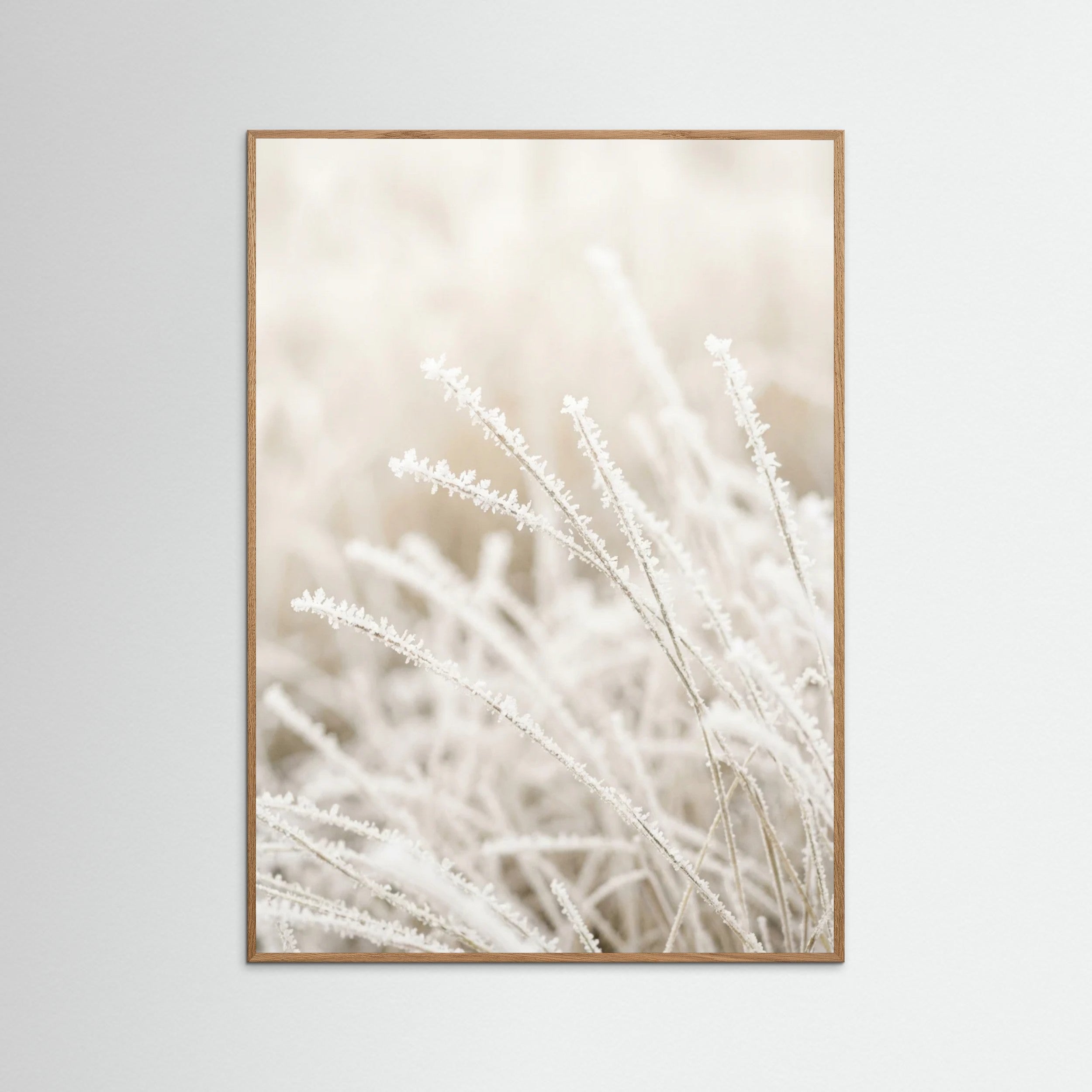 Oak Nature Frosted Whispers