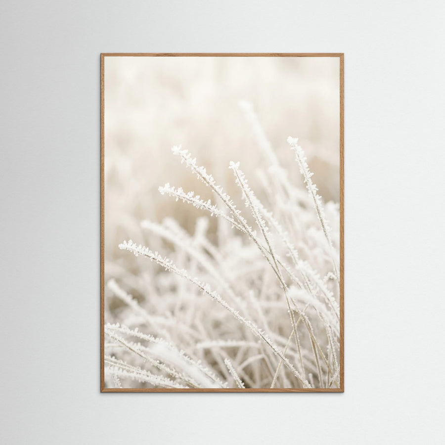 Frosted Whispers