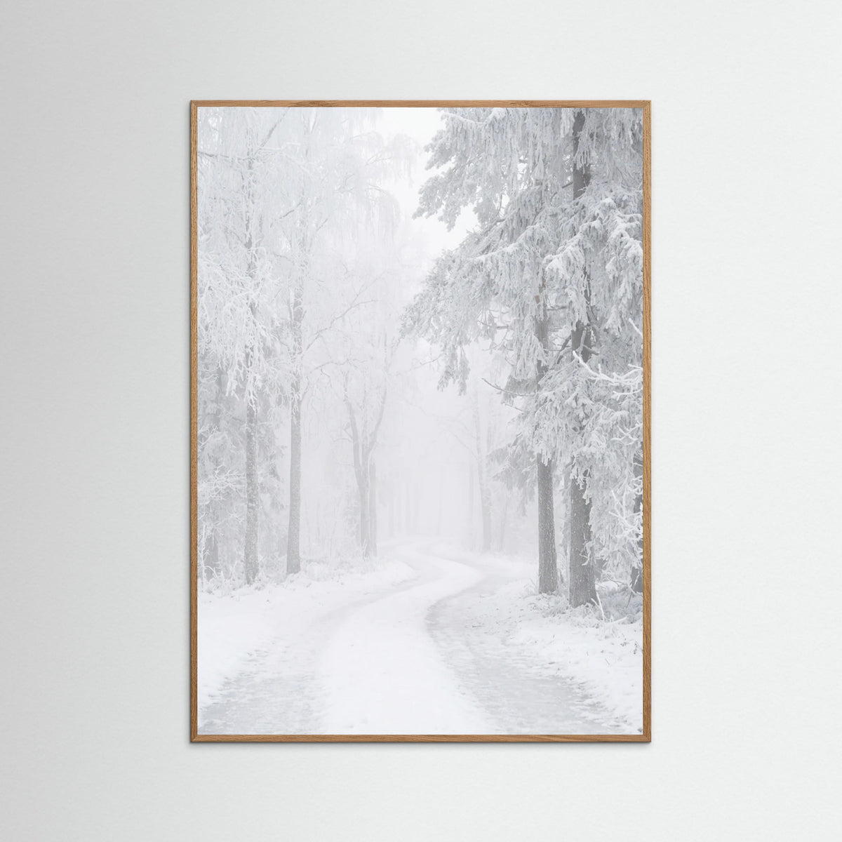 Oak Nature Frozen Calm