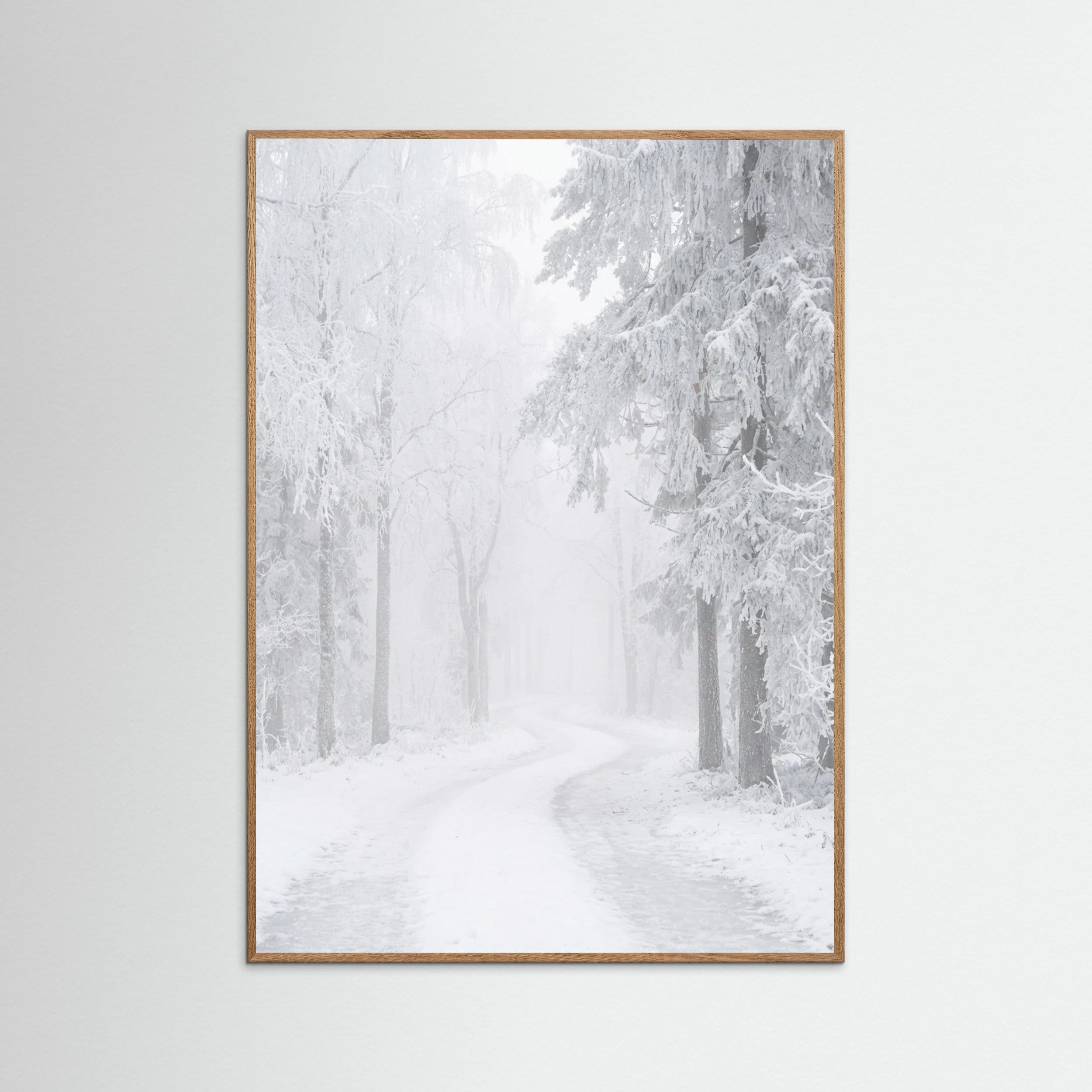 Oak Nature Frozen Calm