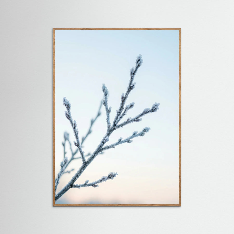 Frozen Whisper