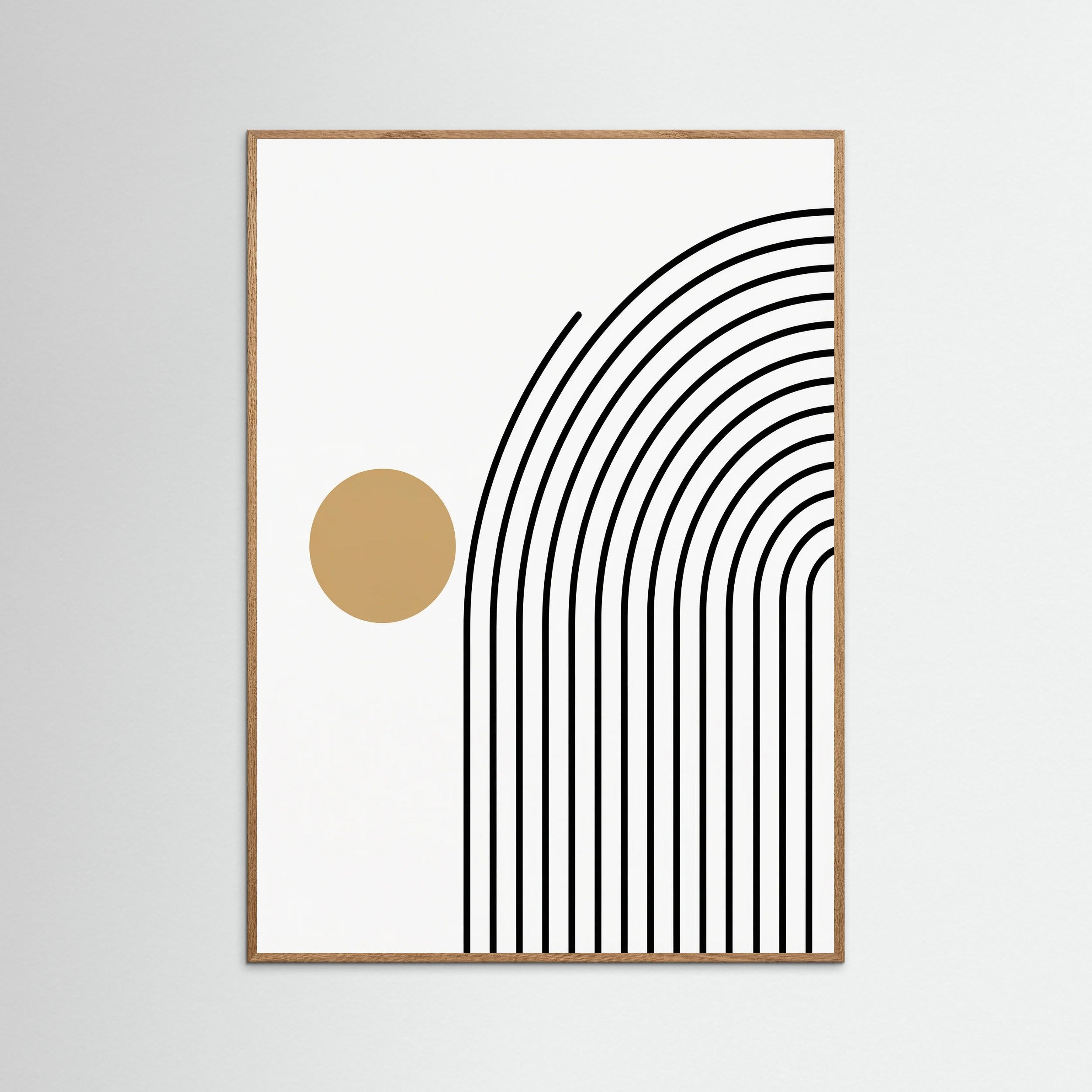 Oak Nature Geometric Stillness