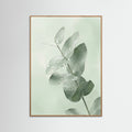 Oak Nature Ginkgo Dew