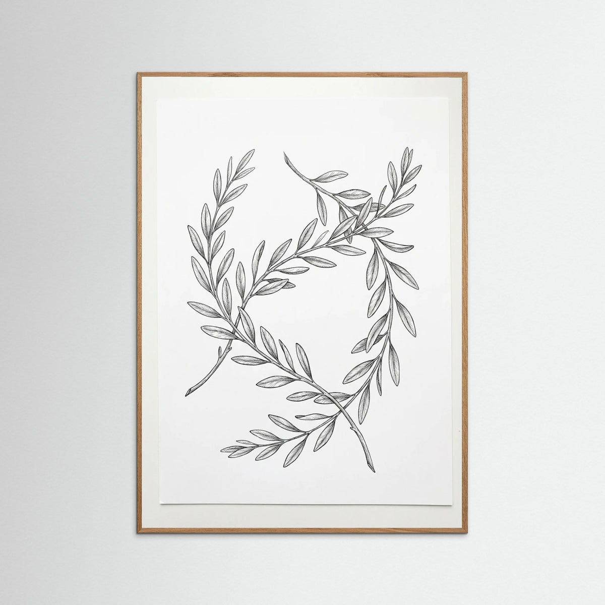 Oak Nature Ginkgo Grace