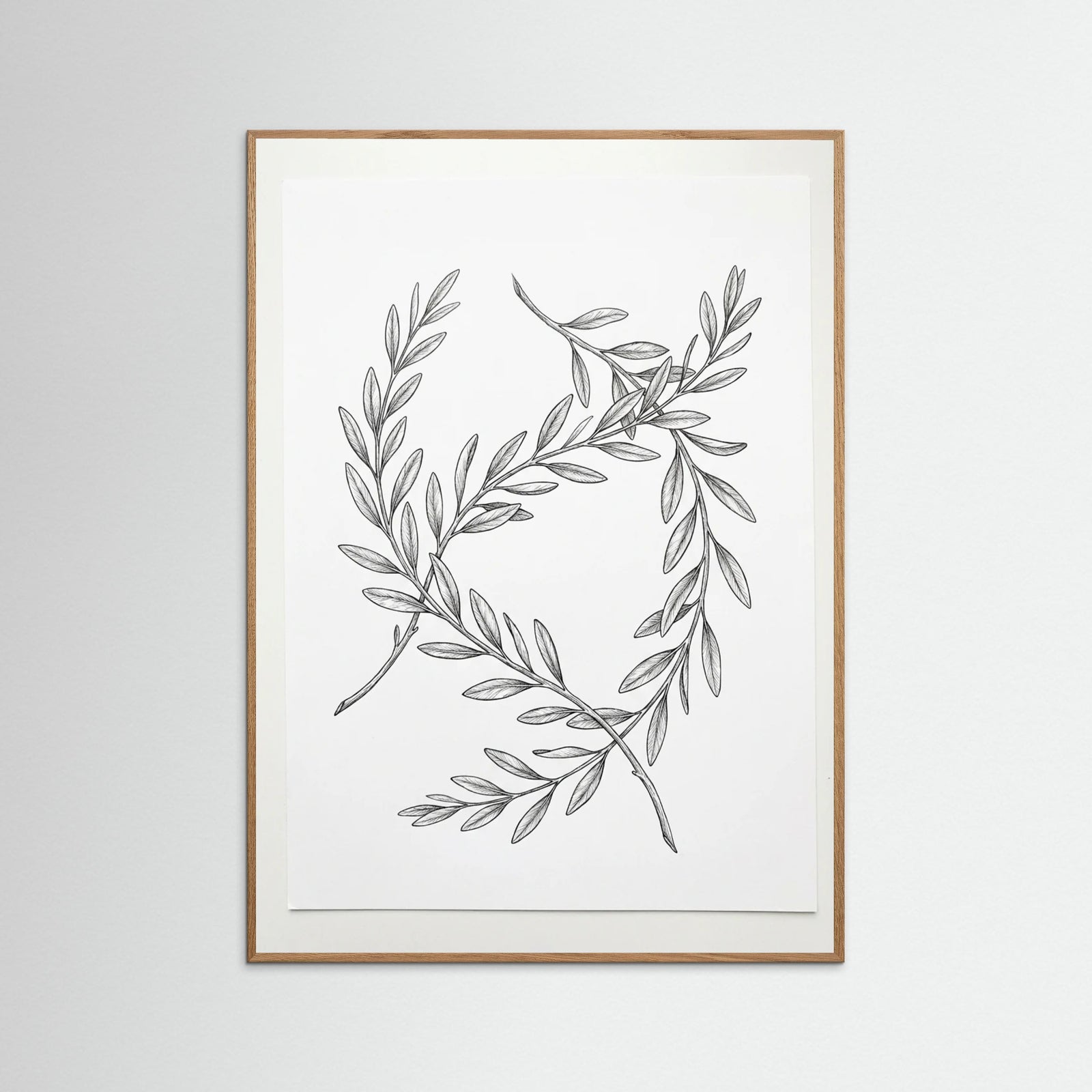 Oak Nature Ginkgo Grace