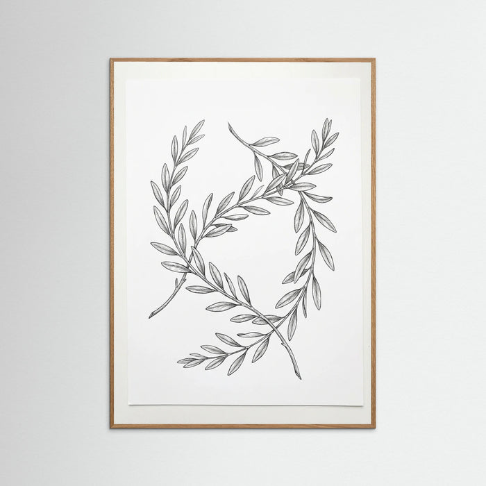 Oak Nature Ginkgo Grace