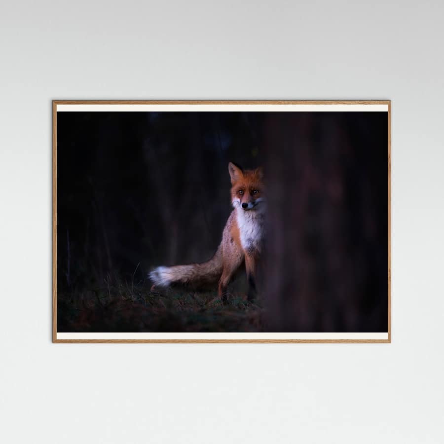 Glances Poster – poster and art print