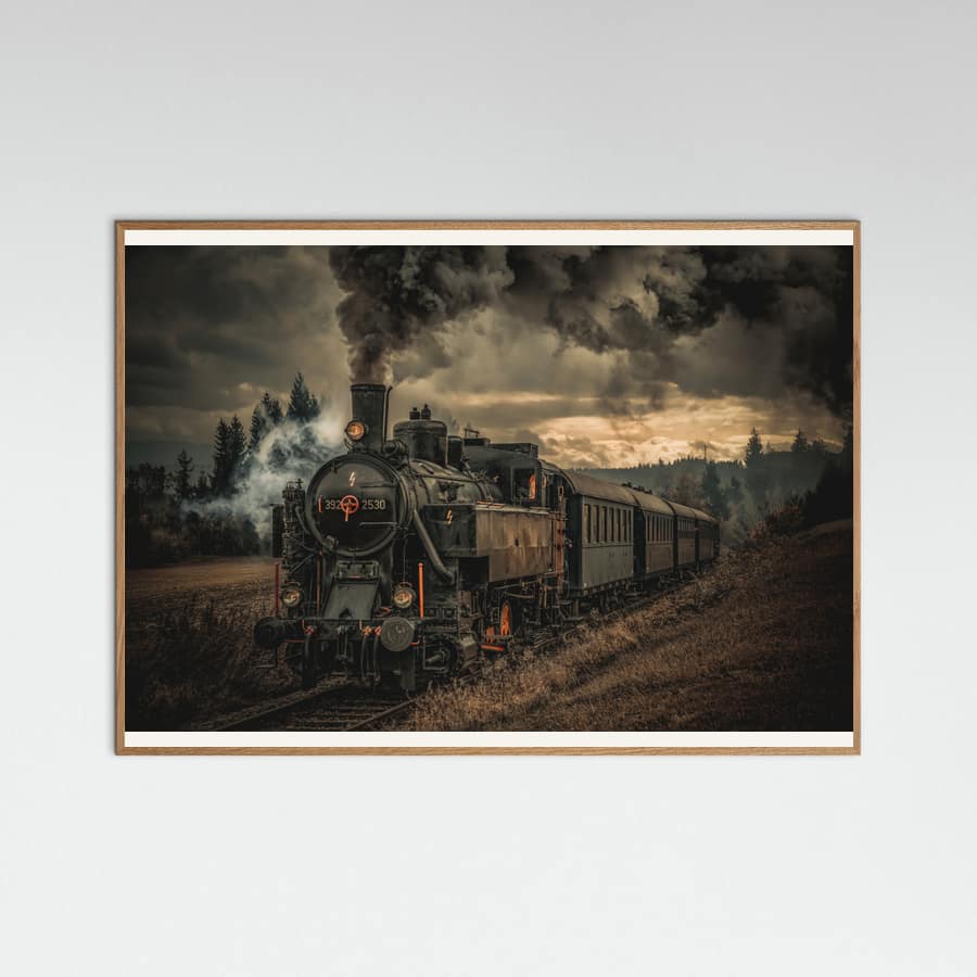 Gold digger train Poster