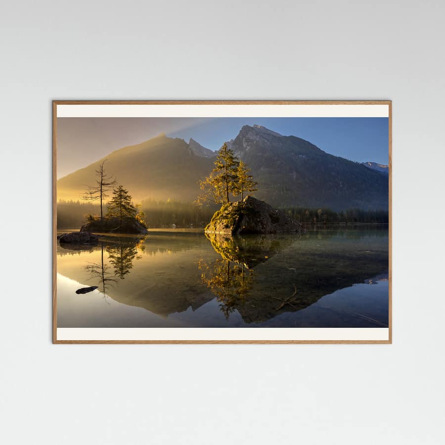 Golden Morning Poster