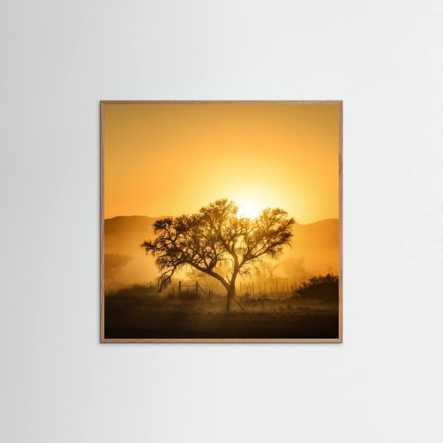 Golden Sunrise Poster