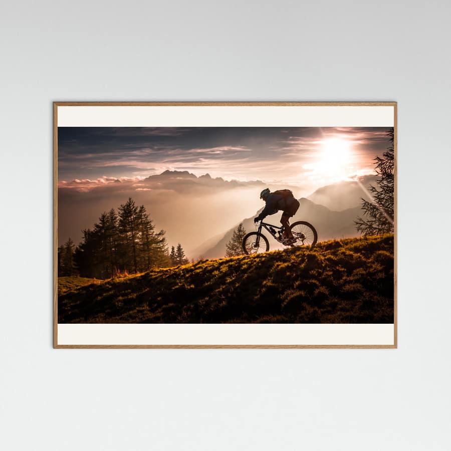 Golden hour biking Poster – plakat og kunsttryk