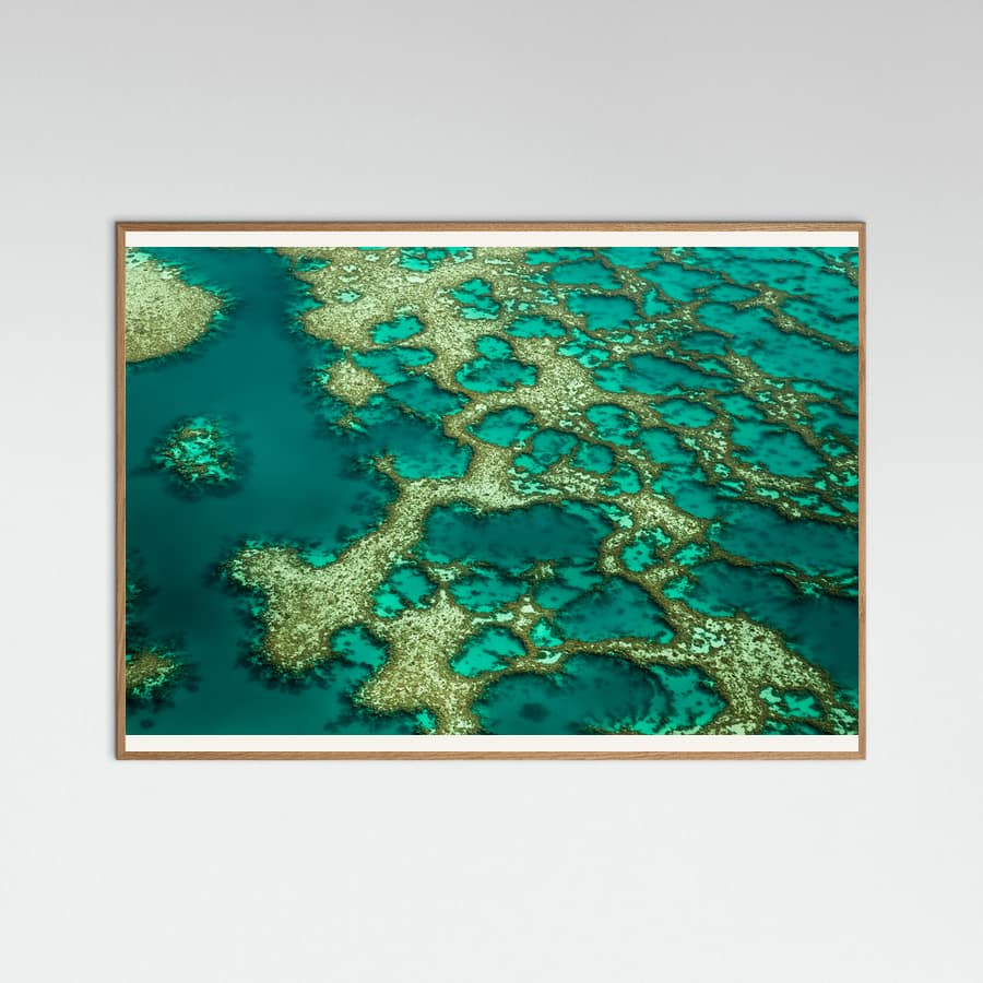 Plakat Gondwana