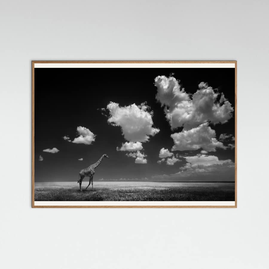 Gone with the Clouds Poster
