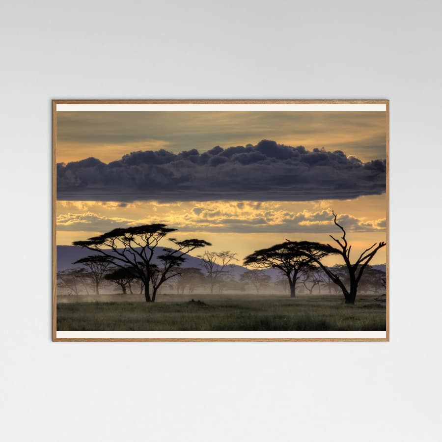 Good evening tanazania Poster