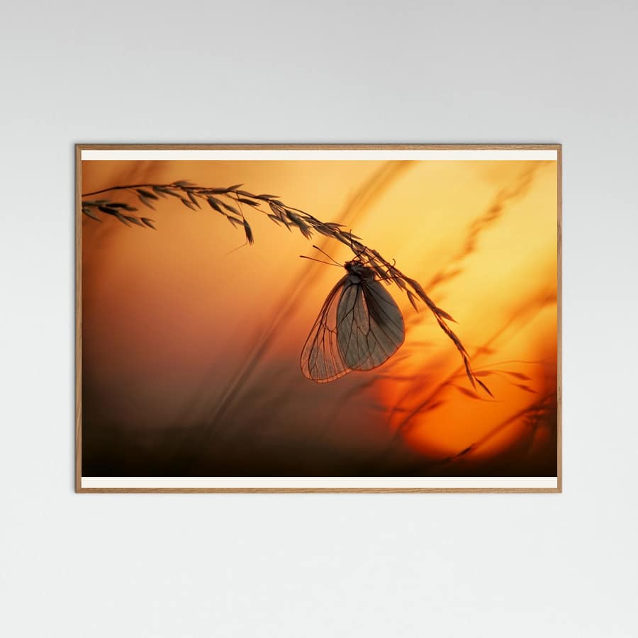 Plakat Good night – plakat i druk artystyczny