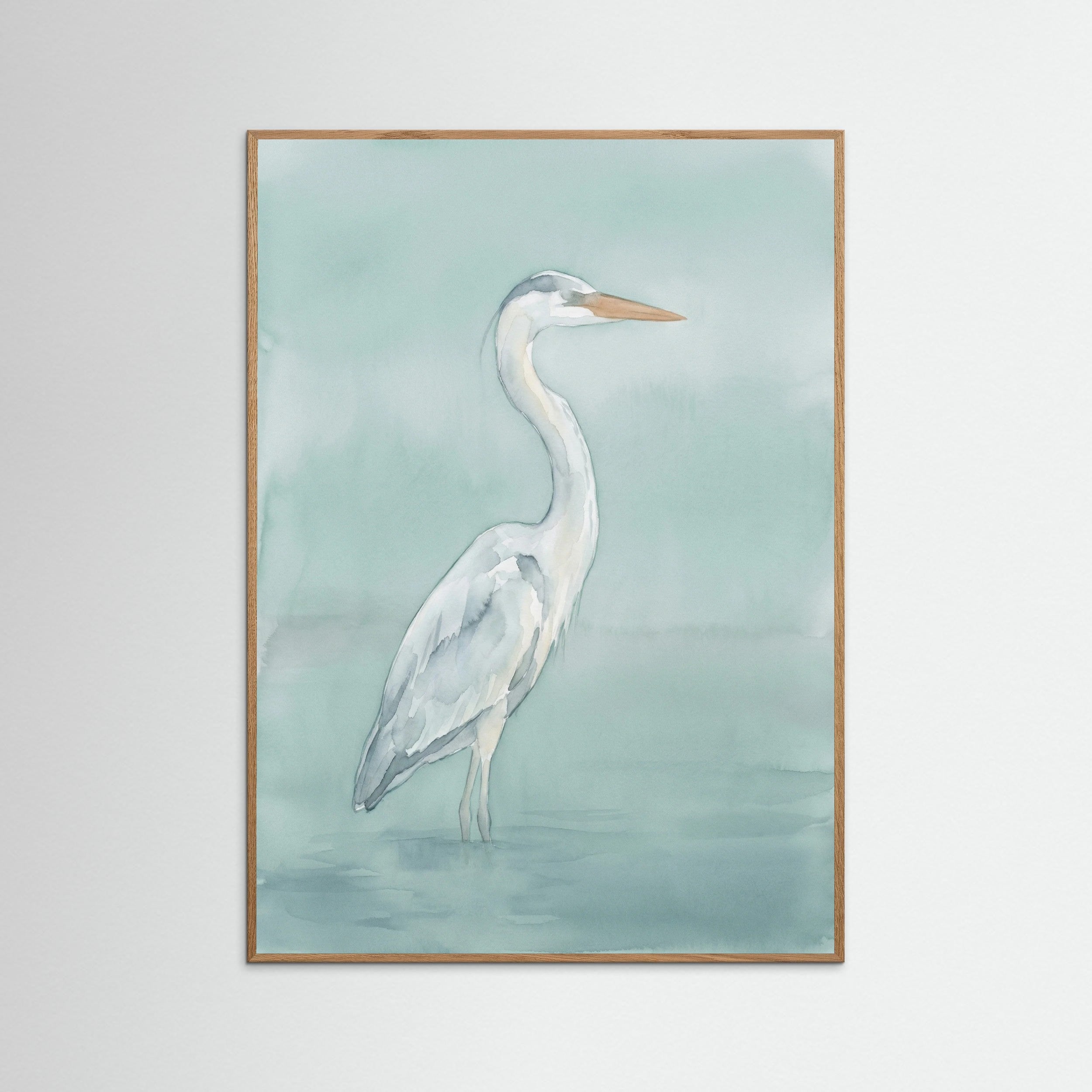 Oak Nature Graceful Swan