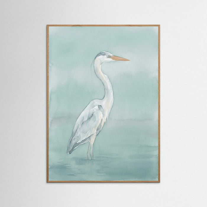 Oak Nature Graceful Swan