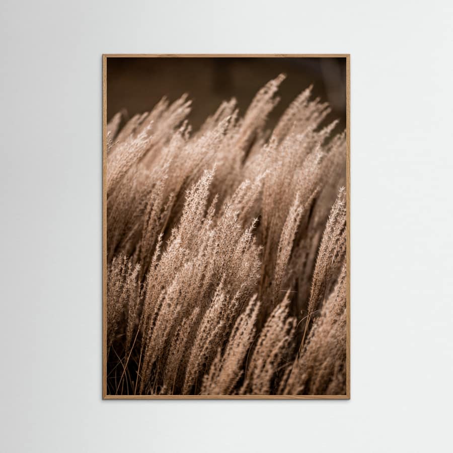 Grass 16 Poster – plakat og kunsttryk
