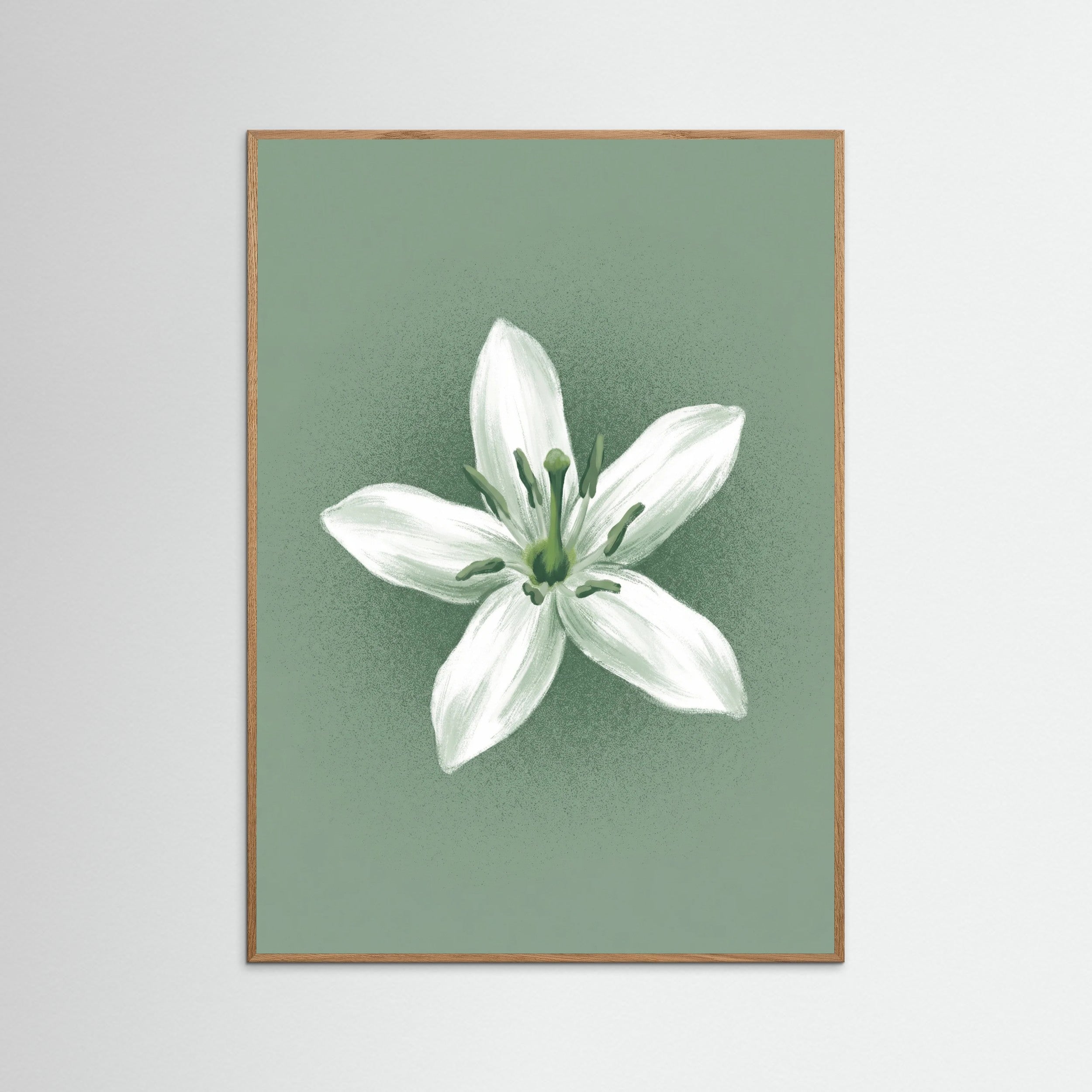 Oak Nature Green Coffee Serenity