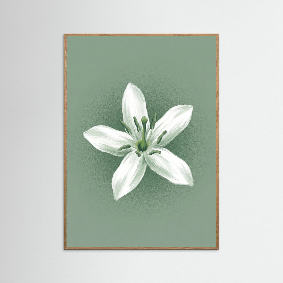 Green Coffee Serenity